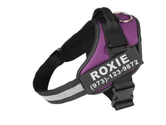 Personalized Custom Dog Harness (NO PULL Adjustable)